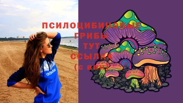 дурь Белоозёрский